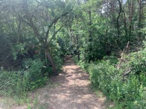 További eladó telkek